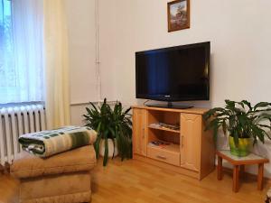 TV a/nebo společenská místnost v ubytování Ferienwohnung Walpurga + 25 fotografií