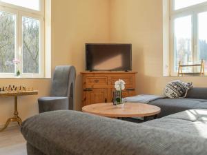 TV a/nebo společenská místnost v ubytování Ferienwohnungen Tanner Hütte