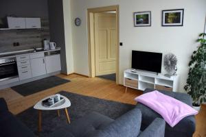 ein Wohnzimmer mit Sofa und Fernseher in der Unterkunft Haus Sonnenblick in Benneckenstein
