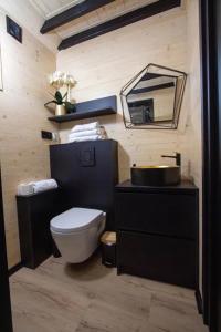 a bathroom with a toilet and a sink and a mirror at Złota Szyszka Radawa in Radawa