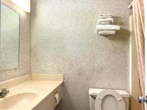 a bathroom with a sink and a toilet and a mirror at Economy inn in Sweetwater