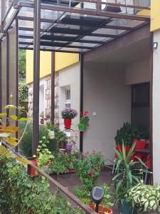 Φωτογραφία από το άλμπουμ του Guest House Pavlovic σε Soko Banja