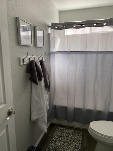 ein Bad mit einem Duschvorhang und einem WC in der Unterkunft Welcome to Casa Azul Havasu, with Pool Spa, new remodel, close to Ohv access in Lake Havasu City