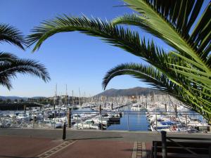 Ein Haufen Boote, die in einem Yachthafen angedockt sind. in der Unterkunft Appartement Hendaye, 3 pièces, 4 personnes - FR-1-2-394 in Hendaye