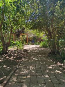 un chemin en pierre dans un jardin arboré dans l'établissement El Jardín Secreto-Pisco Elqui, à Pisco Elqui