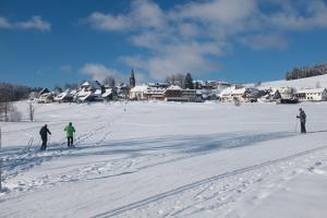 three people cross country skiing in a snow covered town at Haus Buron in Titisee-Neustadt