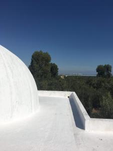 een skateboardhelling in een skatepark bij Écrin in Sousse