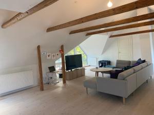 a living room with a couch and a tv at Brigsted B&B in Horsens