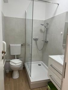 La salle de bains est pourvue d'une douche, de toilettes et d'un lavabo. dans l'établissement Apartment Renata, à Zadar