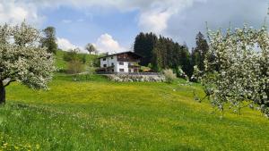 Príroda v okolí apartmánu