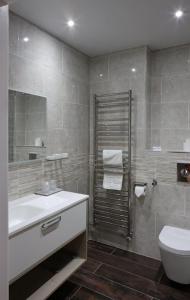 La salle de bains est pourvue d'un lavabo et de toilettes. dans l'établissement The Teifi Waterside Hotel, à Cardigan