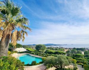 uma palmeira e uma piscina com vista em MAGNIFIQUE APPARTEMENT VUE MER - GRANDE TERRASSE ET PISCINE em Bandol