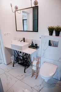 W łazience znajduje się umywalka, toaleta i lustro. w obiekcie Agroturystyka u Marleny w mieście Skorzenno