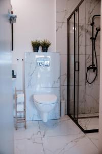 een badkamer met een toilet en een douche bij Agroturystyka u Marleny in Skorzenno