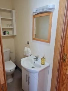 a bathroom with a sink and a toilet and a mirror at Charming 1-Bed Apartment in Barefield in Ennis