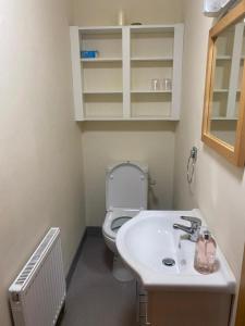 a bathroom with a toilet and a sink at Charming 1-Bed Apartment in Barefield in Ennis