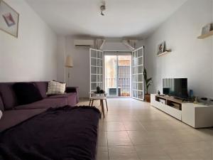 sala de estar con sofá púrpura y TV en Apartamento Felipe Neri 10, en Málaga