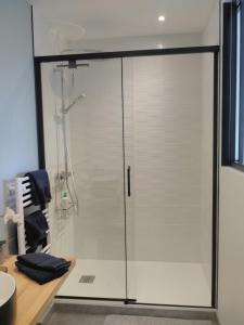 een douche met een glazen deur in een badkamer bij LA SALAMANDRE in Blois