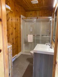 a bathroom with a shower and a sink and a toilet at Adventures East Cottages and Campground in Baddeck Inlet