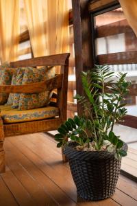 a porch with a chair and a potted plant at Pousada Boa Vista in Tiradentes
