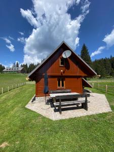 a small cabin in a field with a bench at Cosy Chalet on Pokljuka - Brunarica Tinkara in Zgornje Gorje