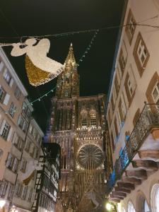 duży budynek z wieżą zegarową w nocy w obiekcie Face à la cathédrale w Strasburgu