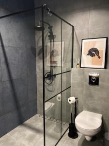 a shower stall in a bathroom with a toilet at Apartament City Spa - Sokolska 30 Towers in Katowice