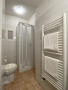 e bagno con servizi igienici, doccia e asciugamani. di Appartamento caratteristico Santa Maria Novella a Firenze
