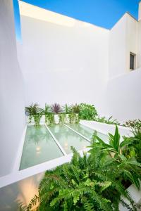 una piscina cubierta en una casa con plantas en Hotel Leonor Conil en Conil de la Frontera
