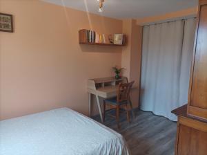 a bedroom with a desk and a bed and a chair at Chambre d'hôte avec Hammam et salle de jeux in Chazelles-sur-Lyon