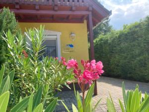 una pequeña casa con flores rosas delante en Príma Vendégház, en Tiszakécske