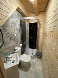 a bathroom with a shower and a toilet and a sink at Agroturystyka Wudarsówka in Sokolec