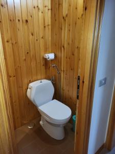 a bathroom with a white toilet in a wooden wall at Mansarda Abetone in Abetone