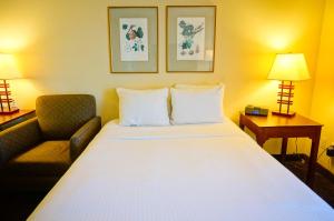 Larkspur Landing Pleasanton-An All-Suite Hotel في بليزانتون: غرفة فندقية بسرير كبير وكرسي