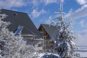 Appartement 2 pièces, les Chalets de Super-Besse v zime