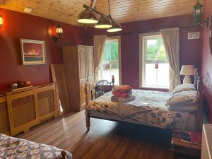 sypialnia z 2 łóżkami i oknem w obiekcie Kingstown House w mieście Cashel