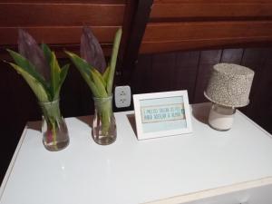 zwei Vasen mit Blumen und ein Bild auf dem Tisch in der Unterkunft Chalé Da Bia in Cananéia