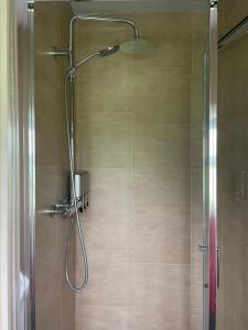 um chuveiro com uma porta de vidro na casa de banho em Kingstown House em Cashel