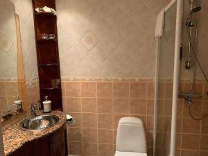 La salle de bains est pourvue d'une douche, de toilettes et d'un lavabo. dans l'établissement Viihtyisä lomahuoneisto Sastamalan Ellivuoressa, à Sastamala
