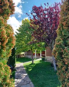 a garden with trees in the middle of a yard at Holiday Home Vile Calimero in Žabljak +162 photos