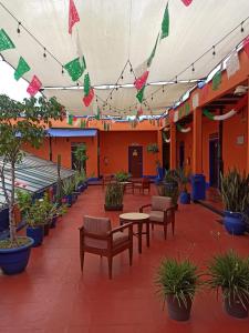 Fotografie z fotogalerie ubytování Hotel Isabel v destinaci Mexico City