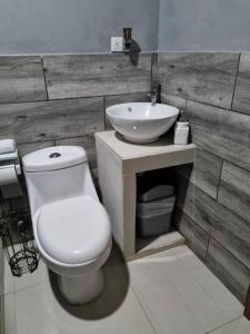 a bathroom with a white toilet and a sink at Pura vida apartament 5 min near aiport NO PARKING SITE in Alajuela City