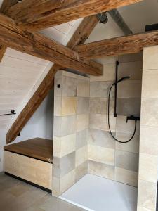 a bathroom with a shower in the attic at Ferienwohnung Ottobeuren in Ottobeuren