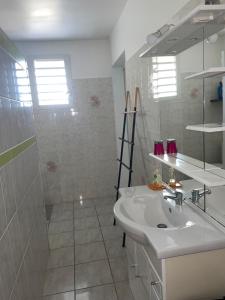 Koupelna v ubytování Villa de L'anse - bas de villa