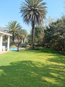 een tuin met palmbomen en een zwembad bij Victorian Villa Westdene Benoni in Benoni