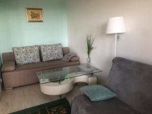 Przytulne mieszkanie في غدانسك: غرفة معيشة مع أريكة وطاولة زجاجية