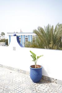 a plant in a blue pot sitting on a tile floor at El MOJA SURFHOUSE in Sidi Ifni