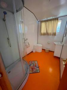 a small bathroom with a shower and a toilet at Vip Flotante in Puno