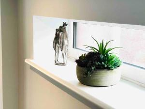 a shelf with a plant and a fish on it at Centrally situated house plus private parking in Cheltenham