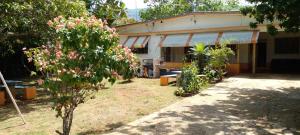 Zahrada ubytování Swiss Home